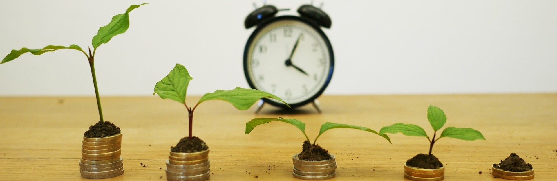 Makroekonomia (Dominika Choroś-Mrozowska/wykład i ćwiczenia/studia stacjonarne/WZORCOWY/07.2021)