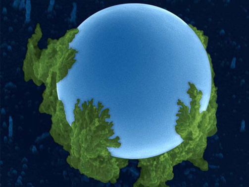 Nowoczesne technologie w produkcji żywności 2023