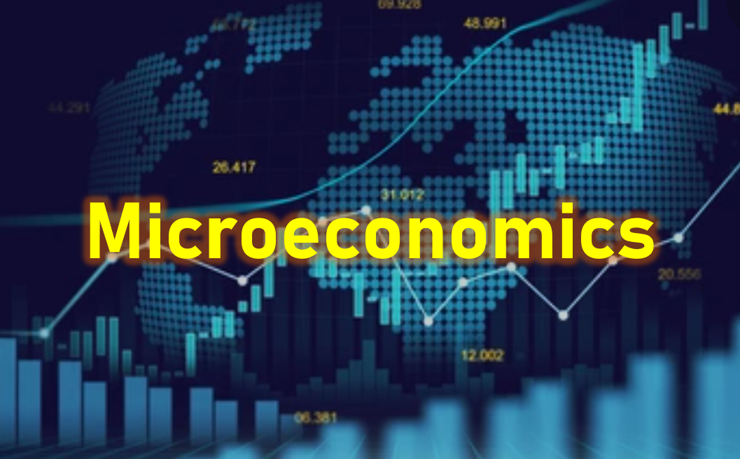 Microeconomics 2023/24