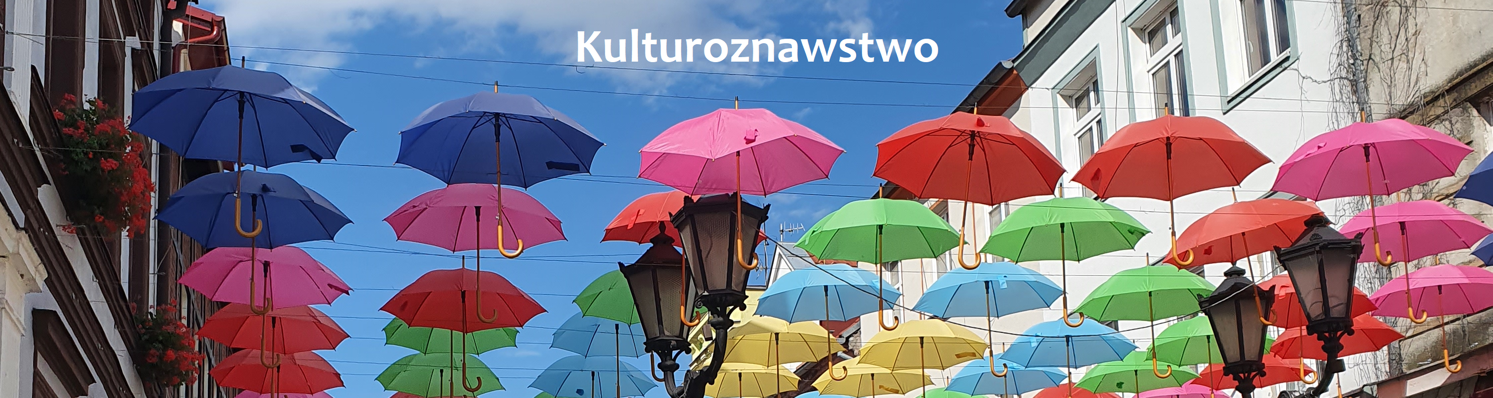 Kulturoznawstwo (studia stacjonarne). Zima 2024/2025