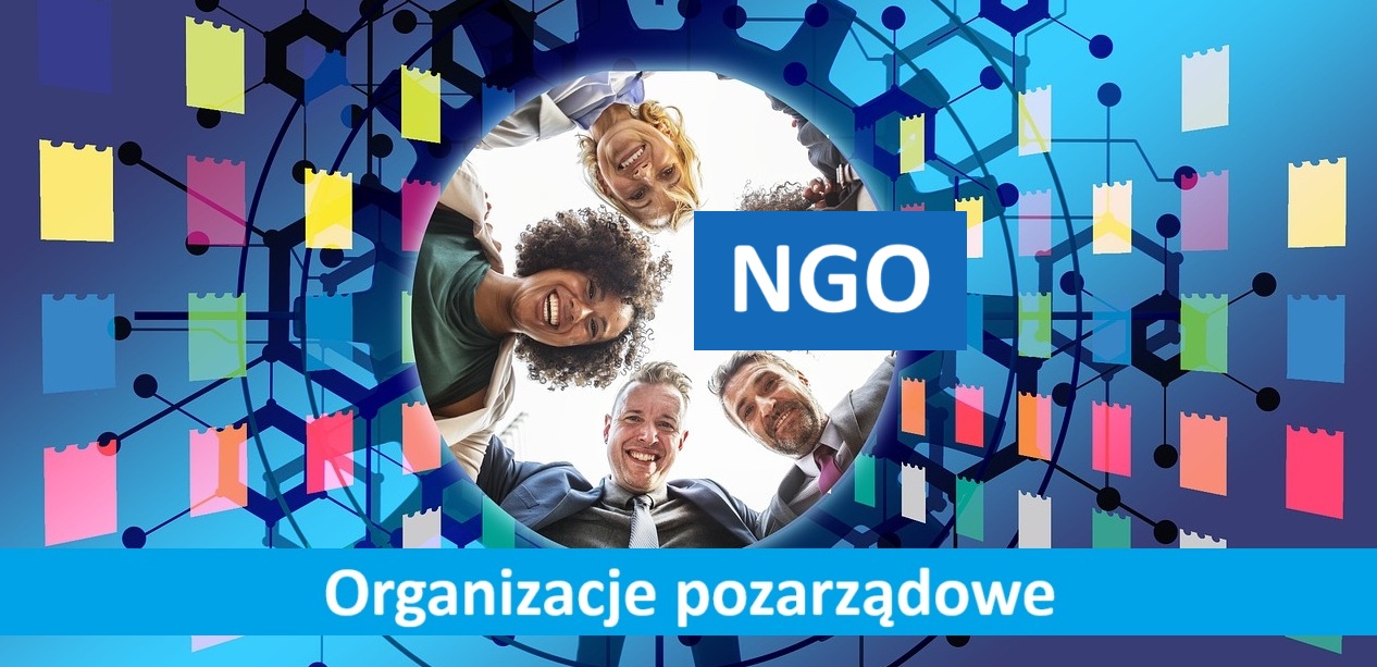 Organizacje pozarządowe (konwersatorium/studia stacjonarne/Agnieszka Pacut/02.2025)