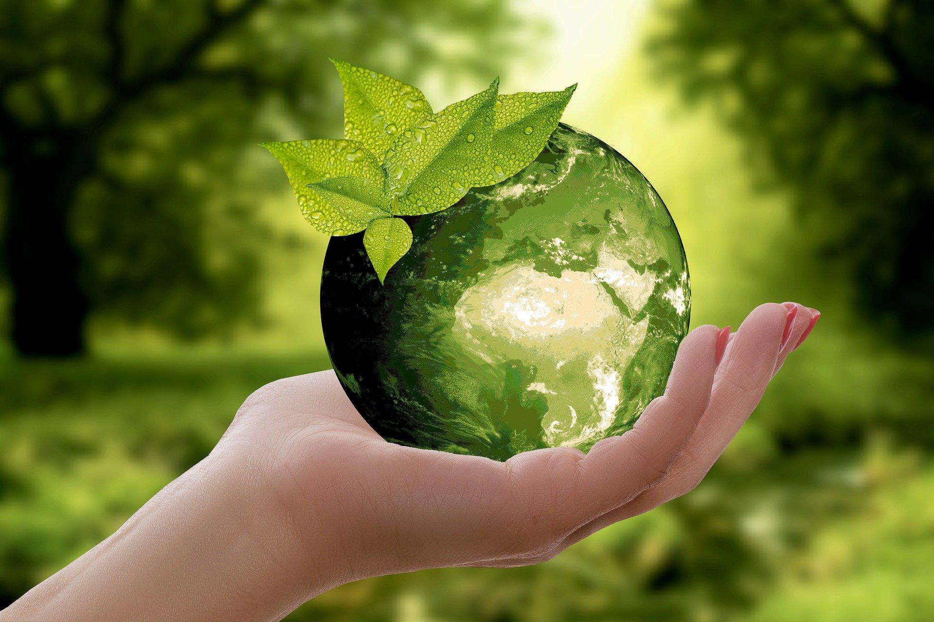 Ekologia zasobów naturalnych i zarządzanie środowiskowe 2025, st. stacjonarne