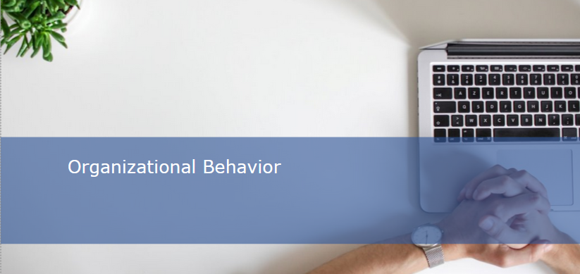 Organizational Behavior 2024/2025 summer