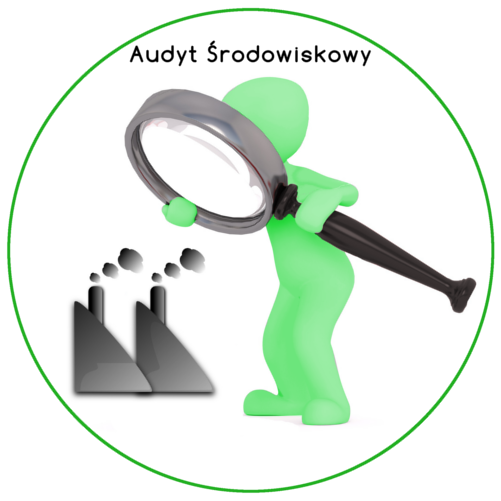 Zarządzanie środowiskowe w organizacjach-2025