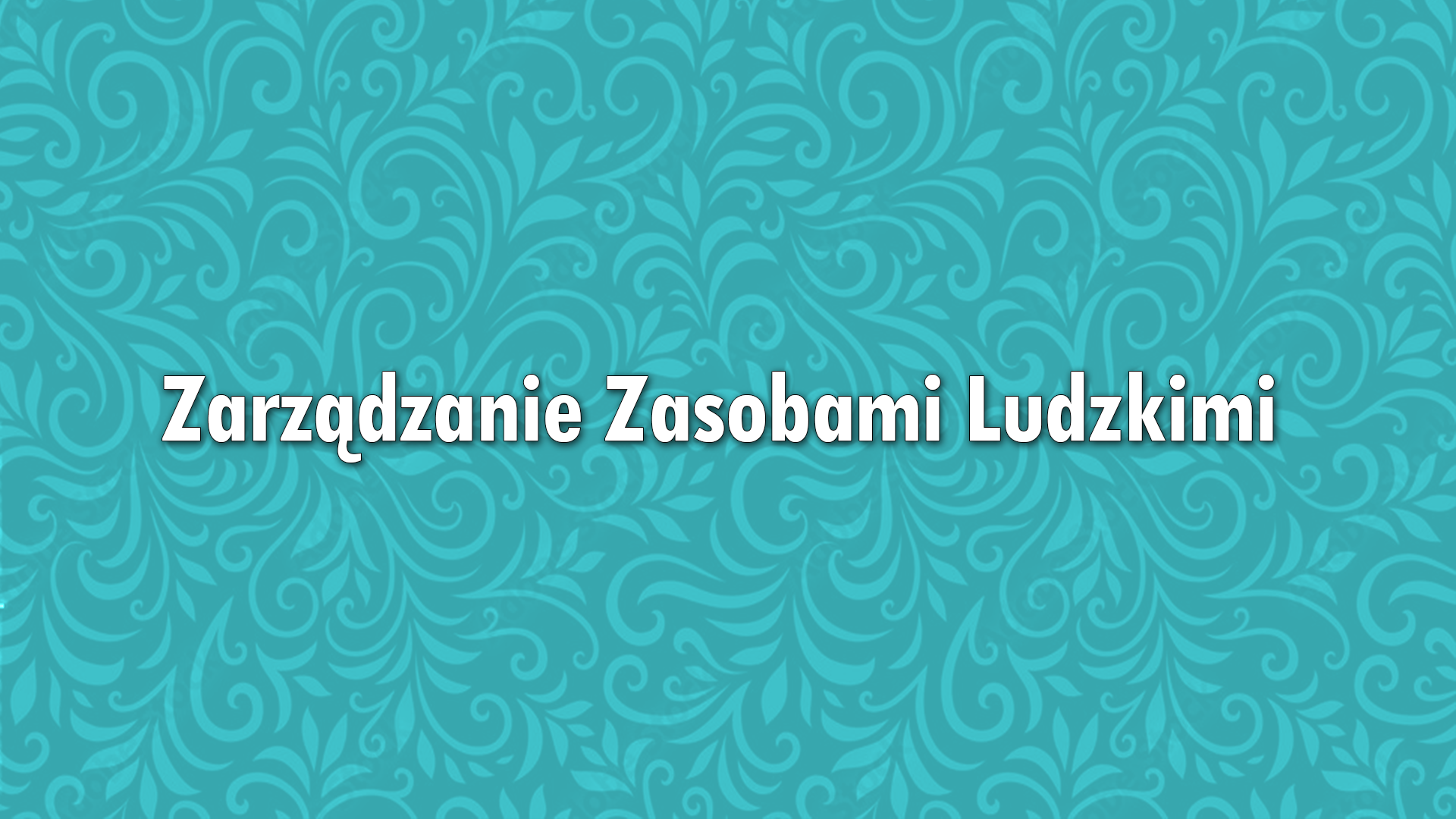 Zarządzanie Zasobami Ludzkimi (ćwiczenia/Ireneusz Rynduch/WZORCOWY/07.2025)