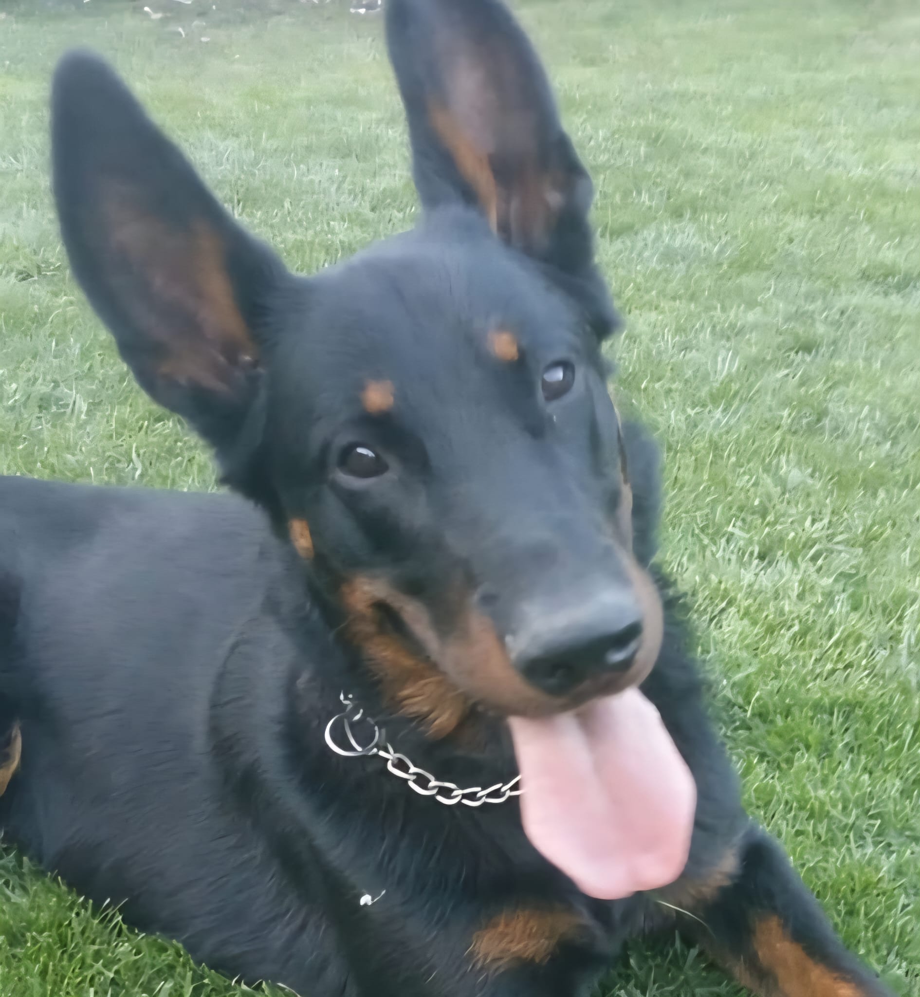 Rachunkowość 2025/26 stacjonarne Wykład i Ćwiczenia KS