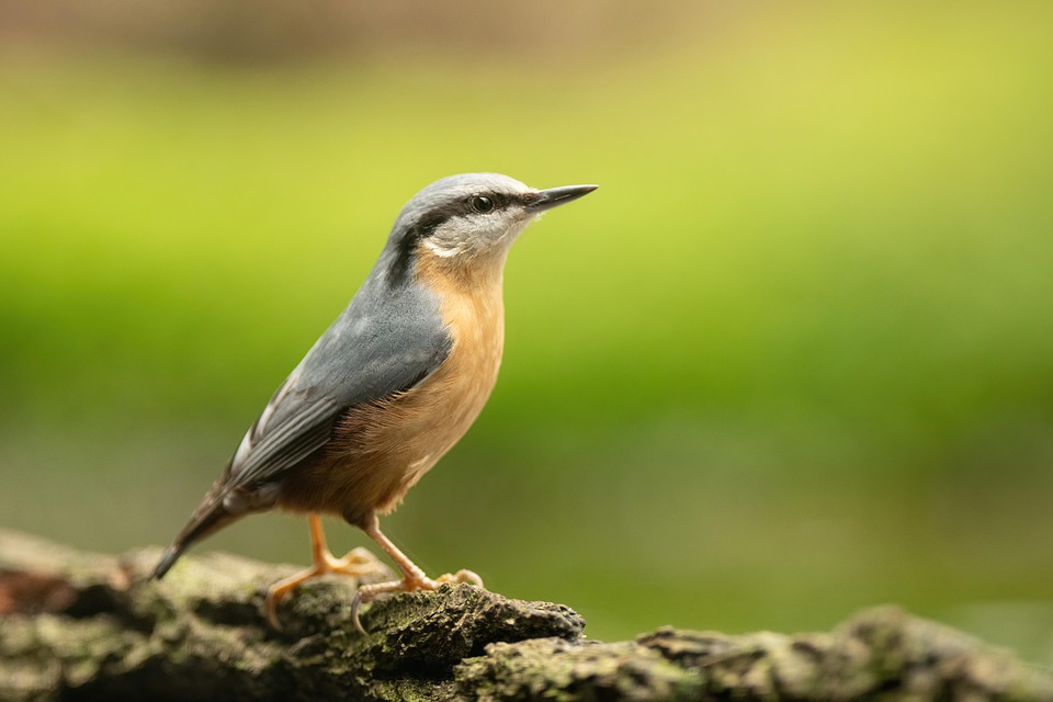 GBE Ang B1 stacjonarni A.<span class="highlight">Niemczewska</span> 1 rok B1 czwartek........2025/2026 