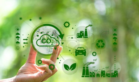 Ekologia i Zarządzanie Środowiskowe_studia stacjonarne_2025