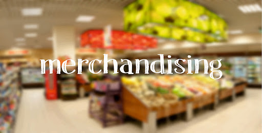 Organizacja struktur sprzedaży i merchandising