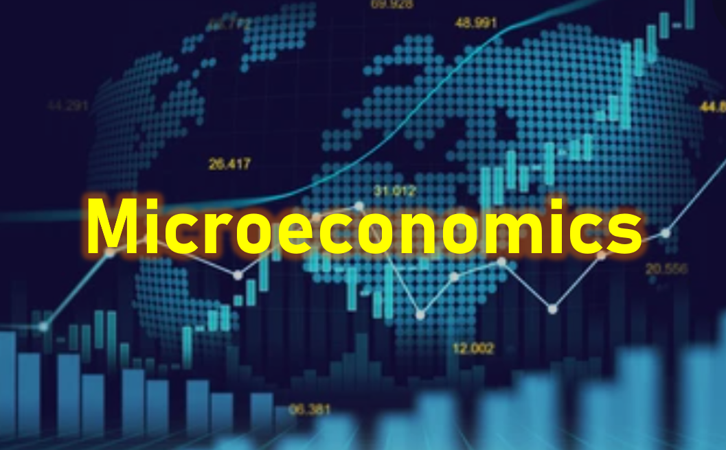Microeconomics IB 2025/26