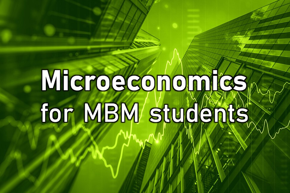 Microeconomics MBM 2025/26