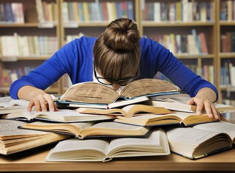 Seminarium dyplomowe [kier. log] 2025/26 