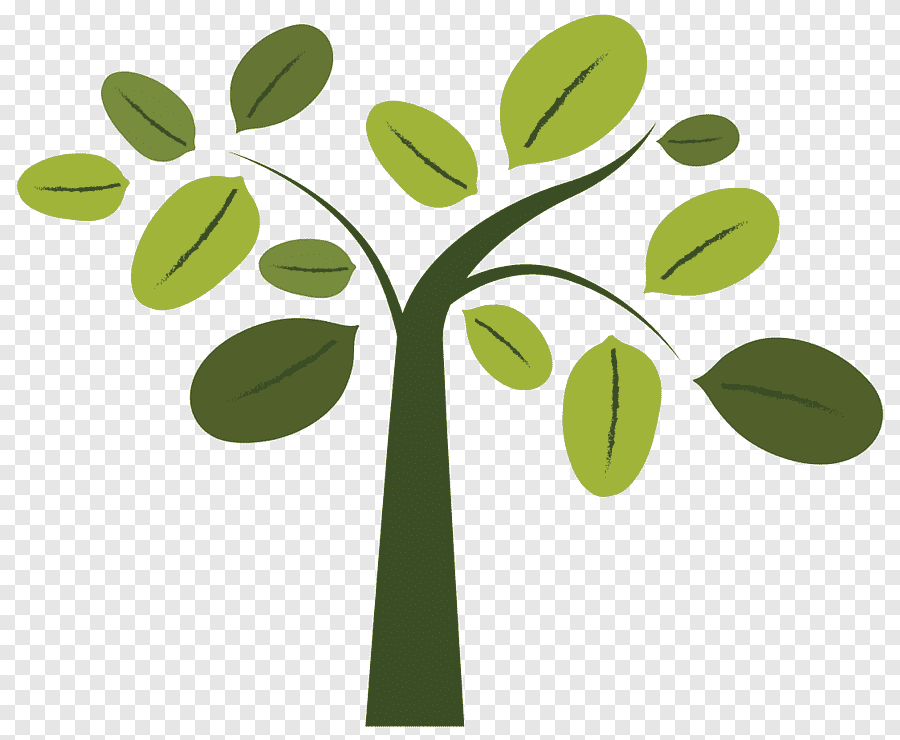 Ekonomika i finansownie ochrony środowiska - studia zaoczne