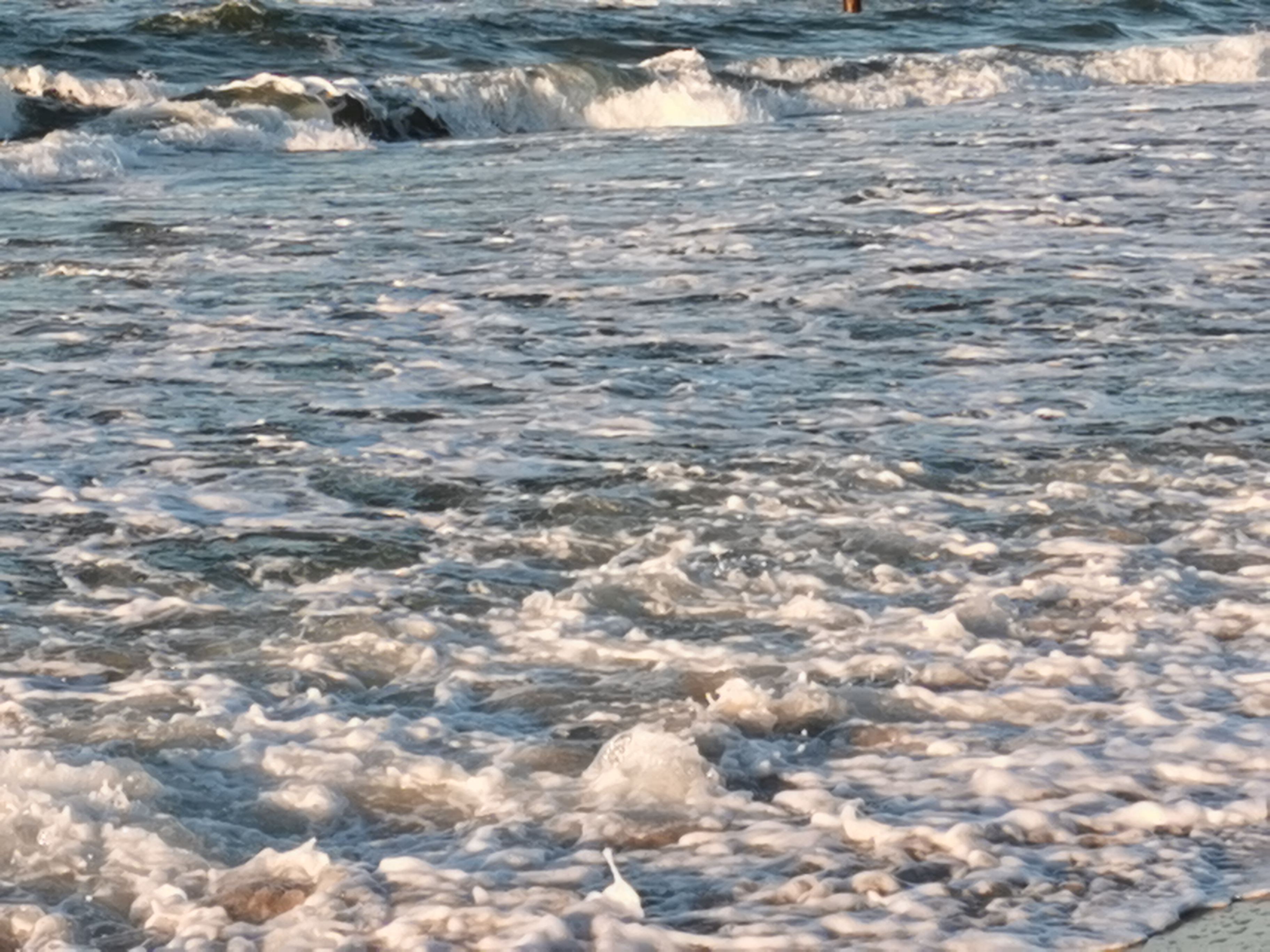 ZAAWANSOWANA RACHUNKOWOŚĆ FINANSOWA NST 2025/2026