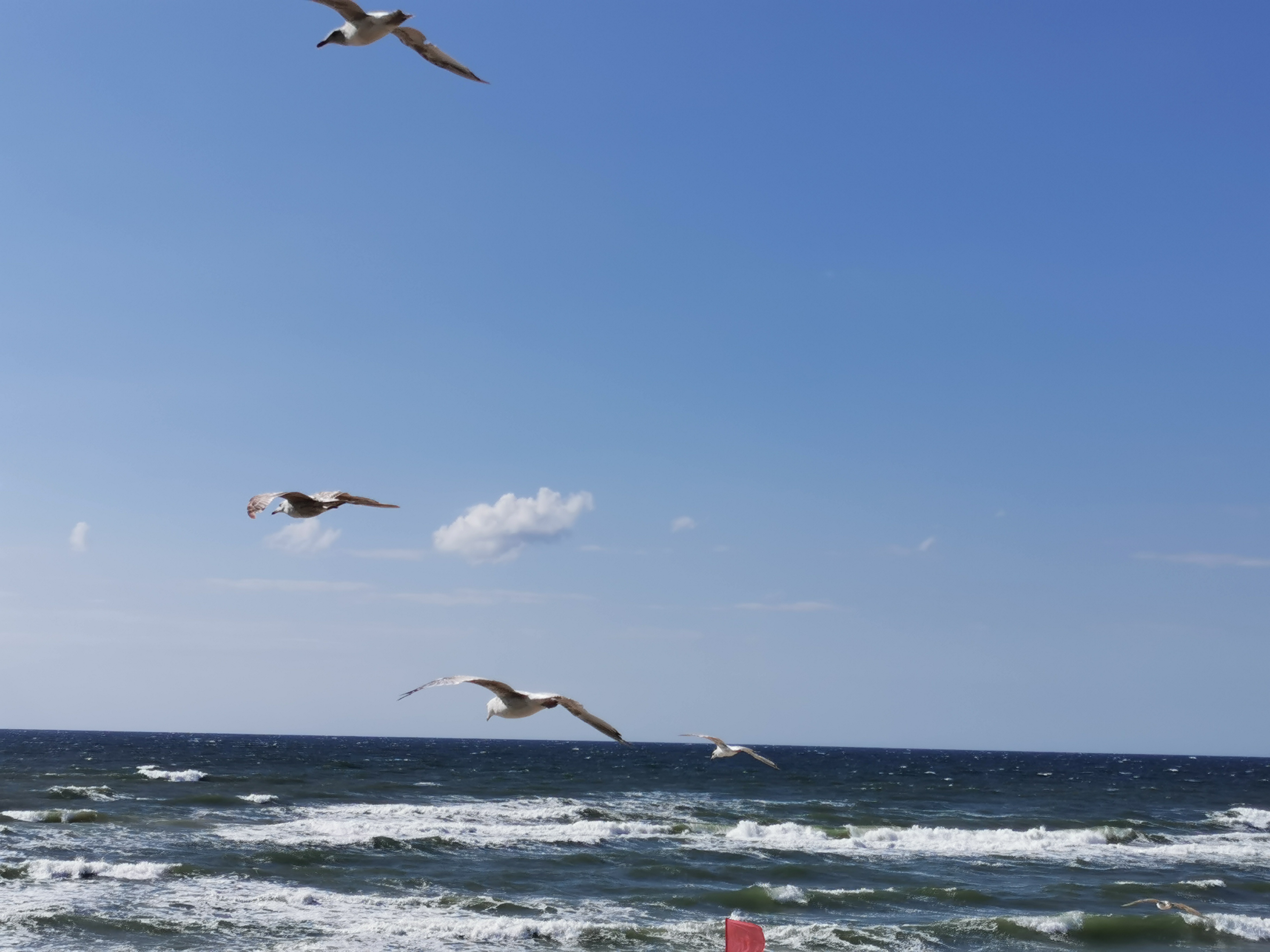 ZAAWANSOWANA RACHUNKOWOŚĆ ZARZĄDCZA 2025 2026 ZAO