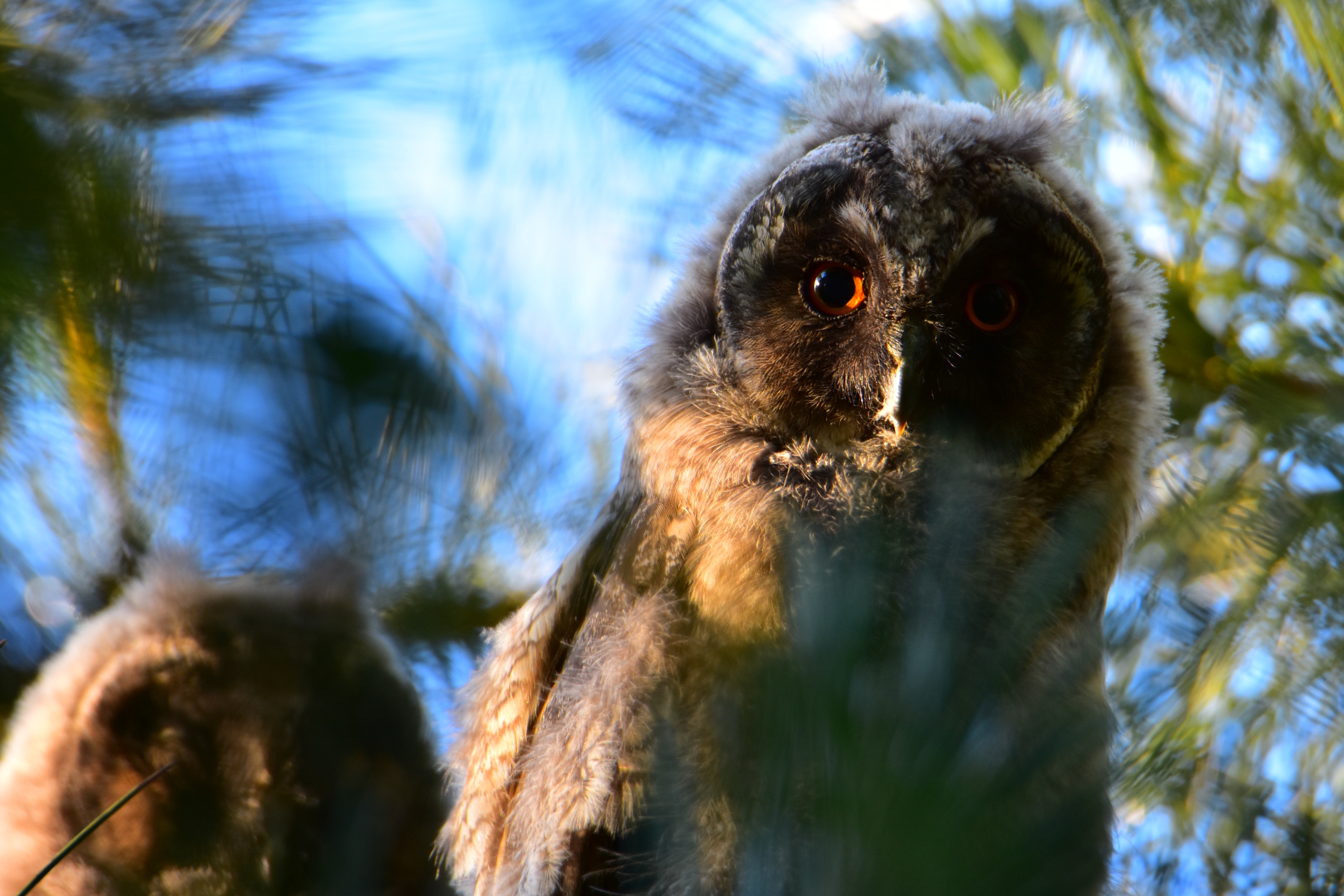 Procedury w handlu zagranicznym w Polsce 2025/2026 - studia stacjonarne