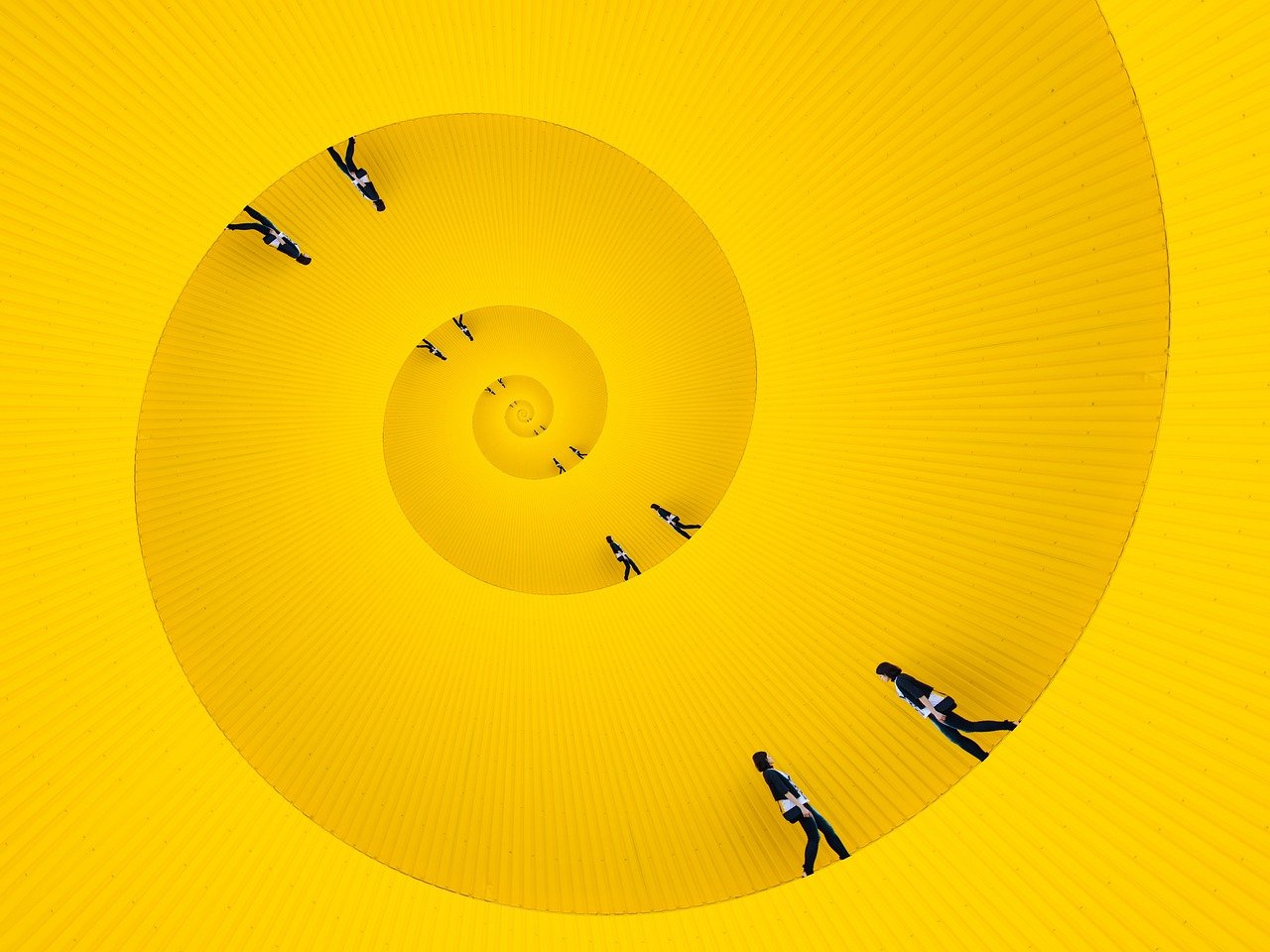 NZ Emancypacja Równość Inkluzywność ZZZAN1