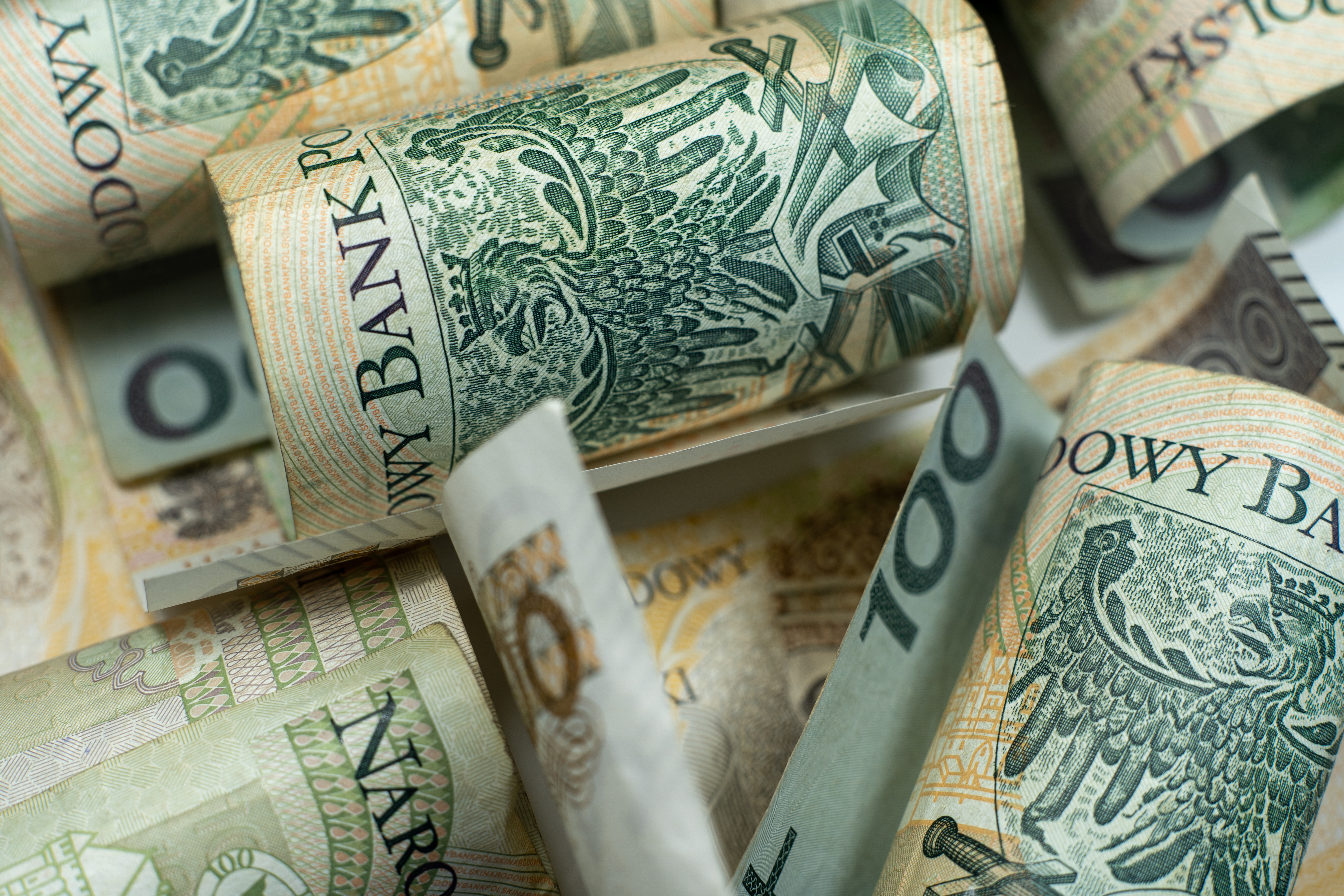 Postępowanie celno-skarbowe i procedury szczególne - ćwiczenia 2025/2026 (WPDRS2-1211, WPDRS2-1212)