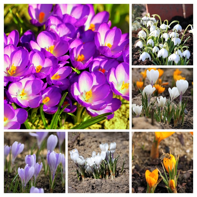 Rynek i polityka finansowa 2025/26 wykłady AKS