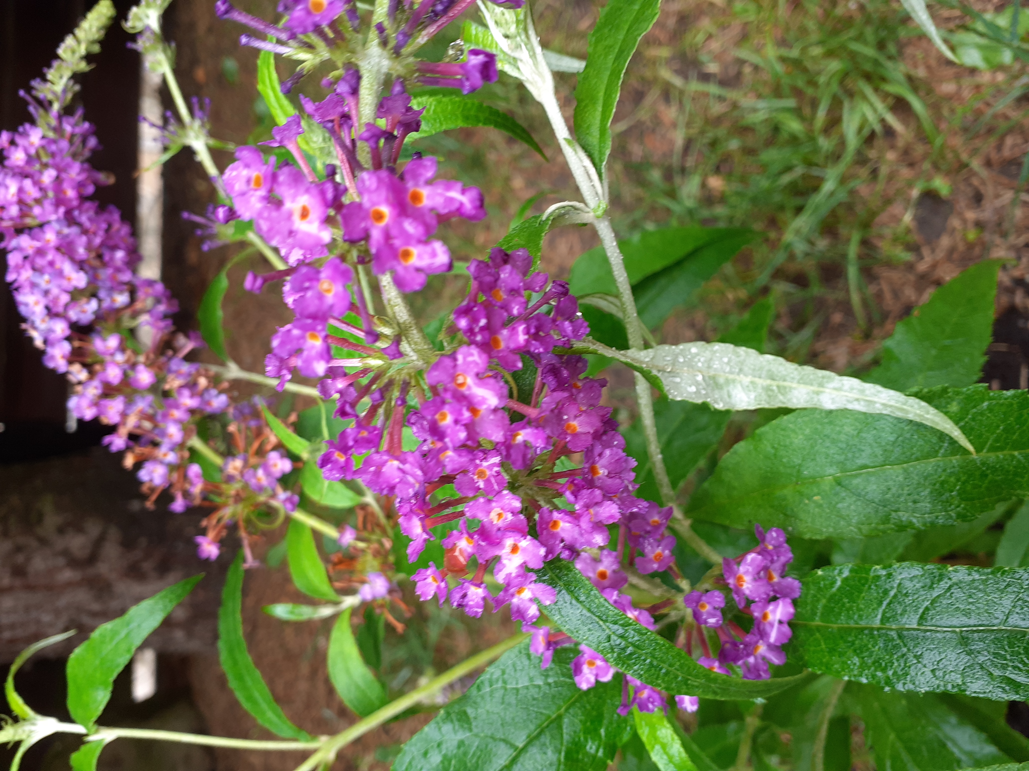 Finanse 2025/26 studia stacjonarne AKS