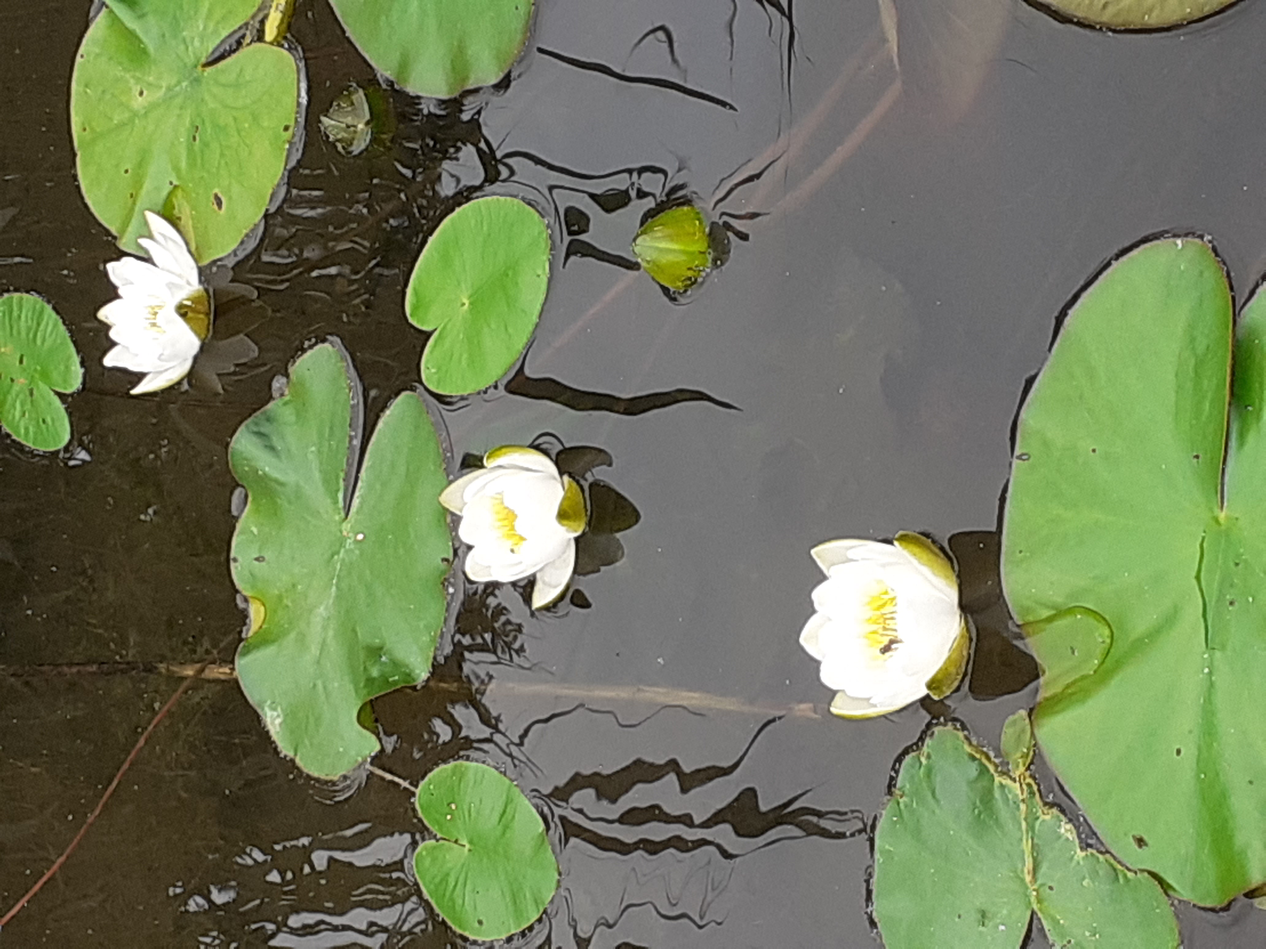 Finanse publiczne II 2025/26  st stacjonarne i niestacjonarne AKS