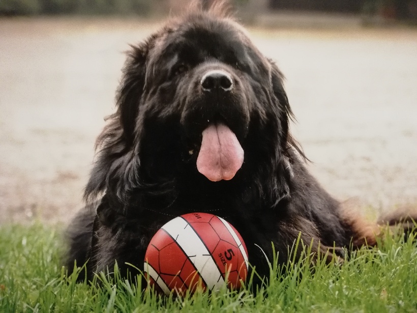 Finanse kier Turystyka  2025/26 studia stacjonarne AKS