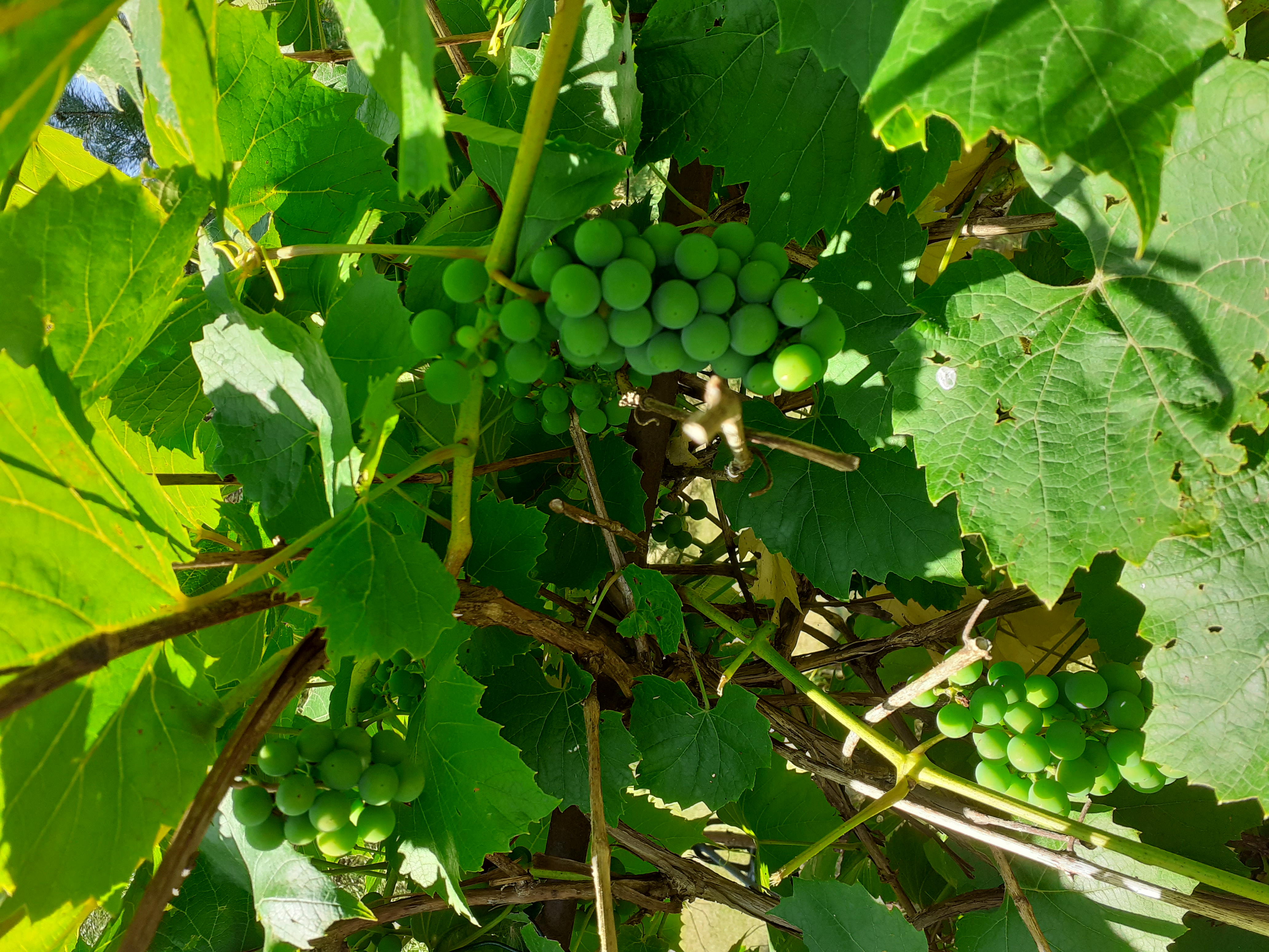 Finanse - Rachunkowośći controlling niestacjonarne 2025/26 AKS