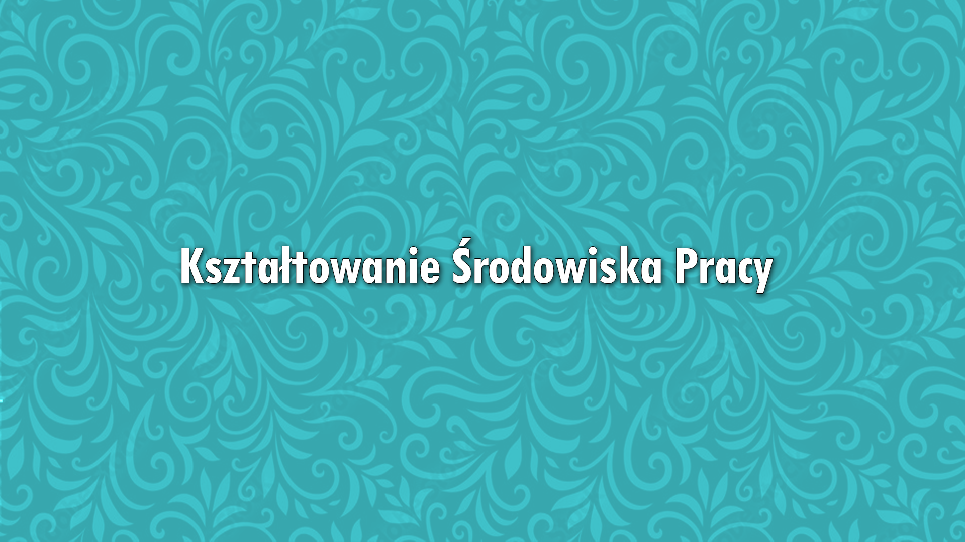 Kształtowanie Środowiska Pracy - Stacjonarne (Ireneusz Rynduch) / WZORCOWY