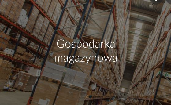 Gospodarka magazynowa i sterowanie zapasami (BAZA)