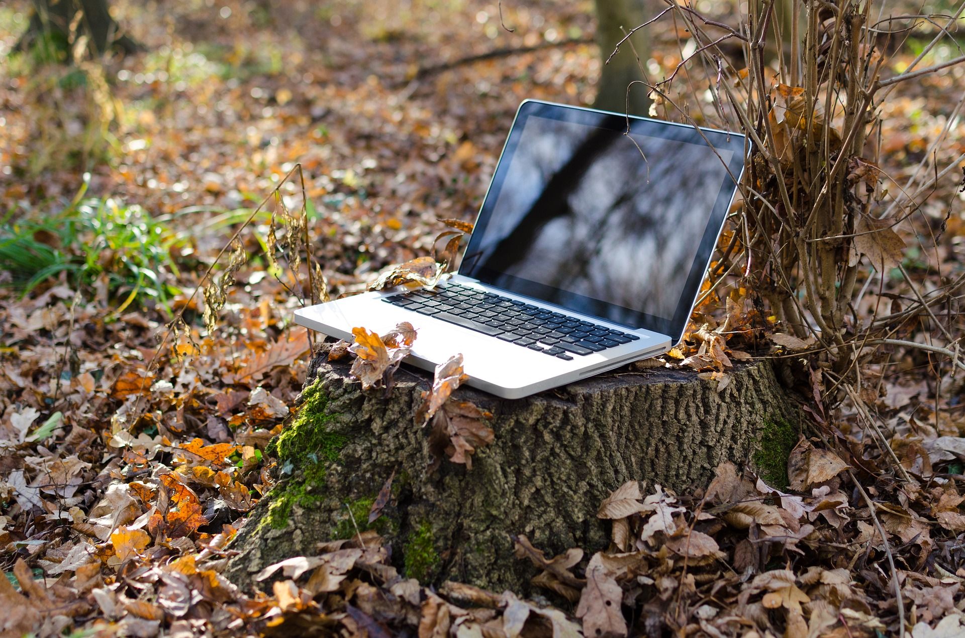 e-Learning na UEK. Instrukcja obsługi