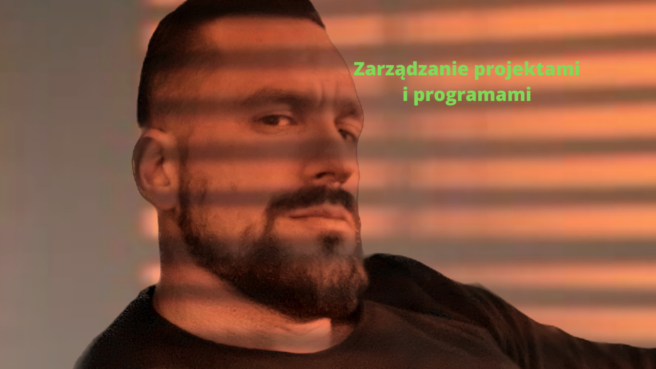 Zarządzanie projektami i programami (Wykład)