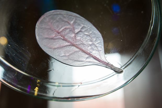 Nowoczesne technologie w produkcji żywności WRZ2024