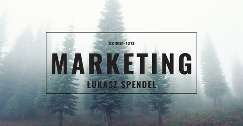 Marketing 15S ZZIBS1-1213 2023/24