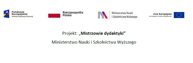 Mistrzowie Dydaktyki - Stosunki Międzynarodowe, I rok